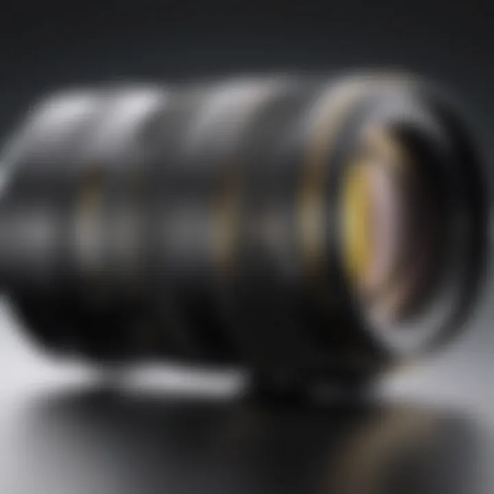 Magnificent In-Depth Analysis of the AF NIKKOR 70-300mm Lens