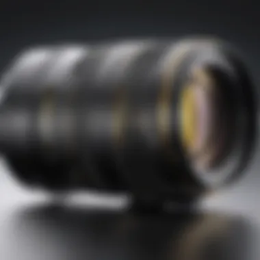 Magnificent In-Depth Analysis of the AF NIKKOR 70-300mm Lens Magnificent In-Depth Analysis of the AF NIKKOR 70-300mm Lens