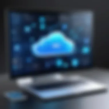 Magnificent Web 2.0 and Cloud Computing: Exploring the Interconnections and Implications for IT Professionals