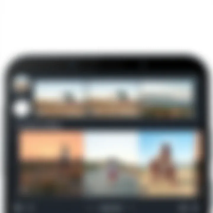 Exploring Advanced Photo Editing Features An advanced feature display within a mobile photo editing application