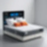 An In-Depth Examination of Sleep Number C2 Reviews Introduction