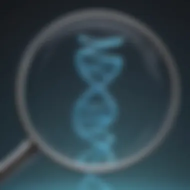 Exploring DNA Structure through a Magnified Lens Magnifying glass focusing on DNA helix