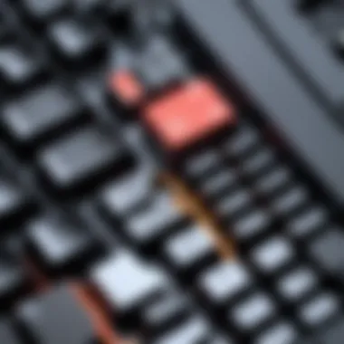 Diverse Mechanical Switch Types for Gaming Comparison of various mechanical switches on keyboards