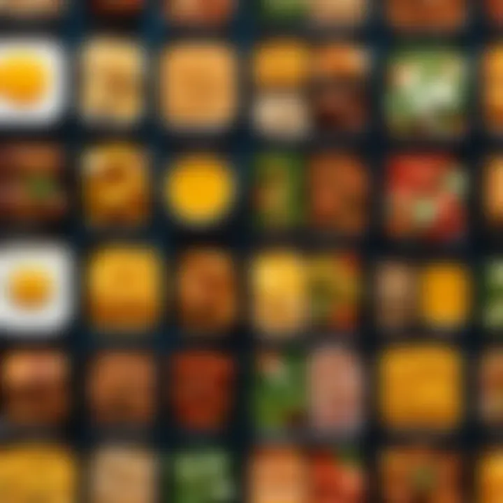 Abstract representation of diverse meal options