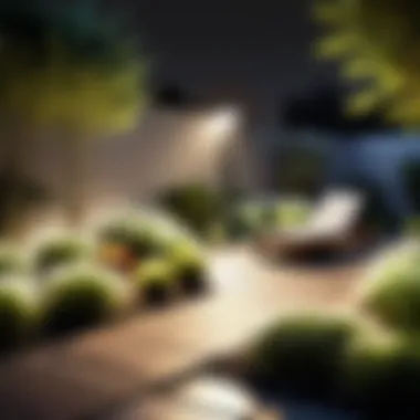 Illustration of a beautifully lit outdoor garden using spotlight kits