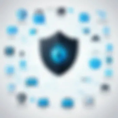 Importance of Digital Security An infographic illustrating the importance of digital security