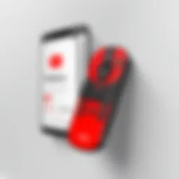 Customization Option Illustration