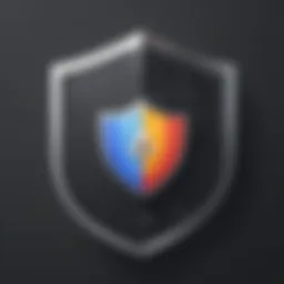 Data Protection Shield Icon