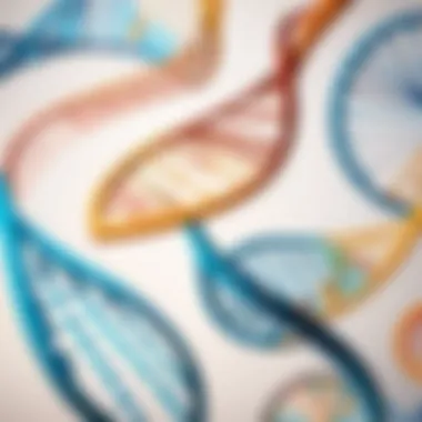 Exploring Ethnicity Composition DNA Ethnicity Composition
