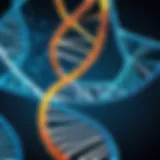DNA Helix Unraveling