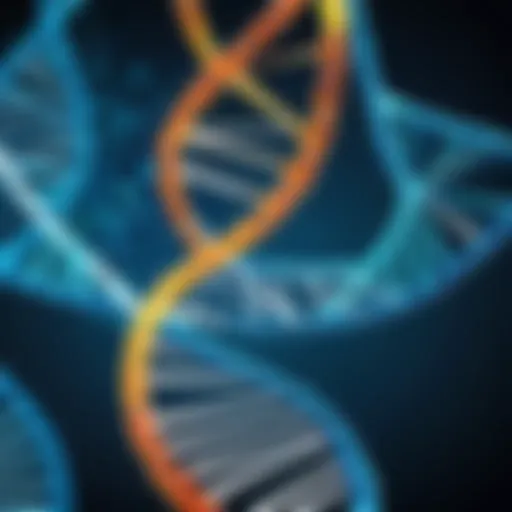 DNA Helix Unraveling