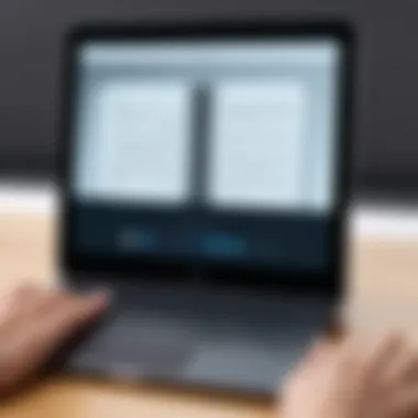 User Experience with Ebook Reader Applications User engaging with an ebook reader application on a personal computer.