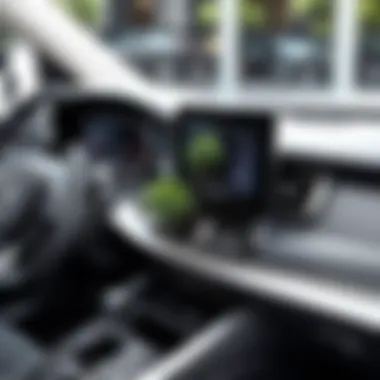 Elegant Dashboard Plant Holder Elegant Dashboard Plant Holder