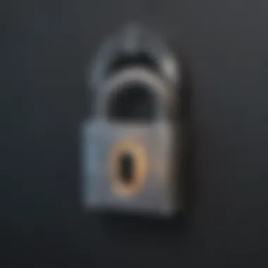 Unlocking Data Protection with Encryption Security Lock Encryption Security Lock