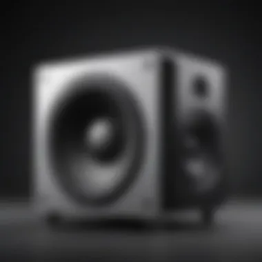 Powerful Subwoofer Performance