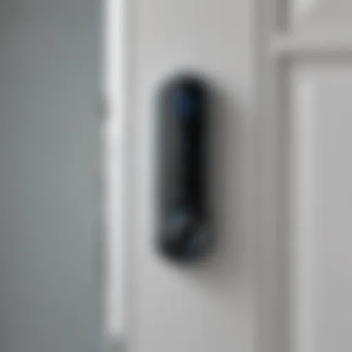 Smart WiFi lock system on a modern door
