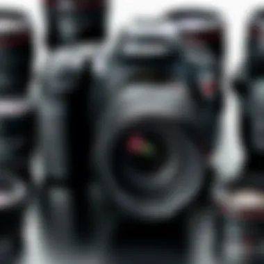 A Canon camera set up with various lenses arranged around it showcasing versatility