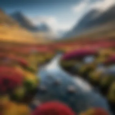 A stunning landscape captured through a Canon lens emphasizing clarity and detail