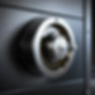 Digital Vault for Password Security Illustration of a digital vault representing password protection.