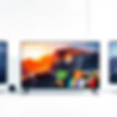 Exploring the Landscape of LED Televisions Introduction Exploring the Landscape of LED Televisions Introduction