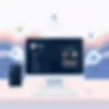 Overview of Tidal web app interface