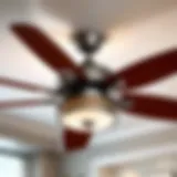 Elegant design of the Hunter ceiling fan showcasing modern aesthetics