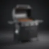 Innovative barbeque grill with precision temperature control