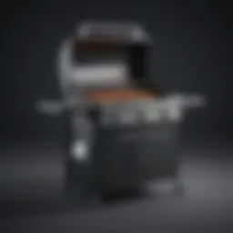 Innovative barbeque grill with precision temperature control