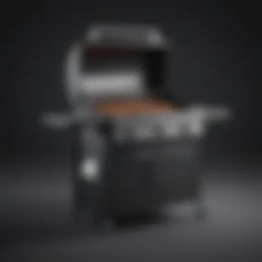 Innovative barbeque grill with precision temperature control