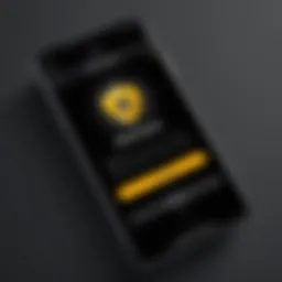 Norton security app interface on iPhone