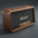 Modern Marshall Amp Speaker Design