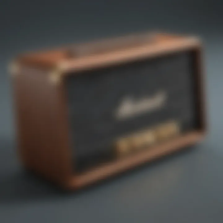 Modern Marshall Amp Speaker Design