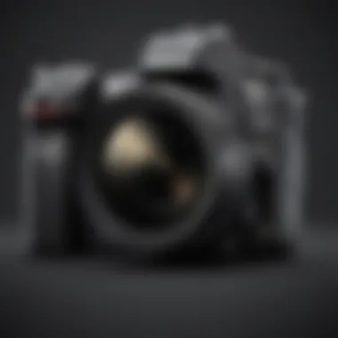 Mastering the Moment with Nikon Shutter Speed Nikon Camera Shutter Speed