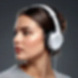 Diagram illustrating active noise cancellation technology in earphones