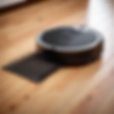 Close-up of robot vacuum collecting pet hair