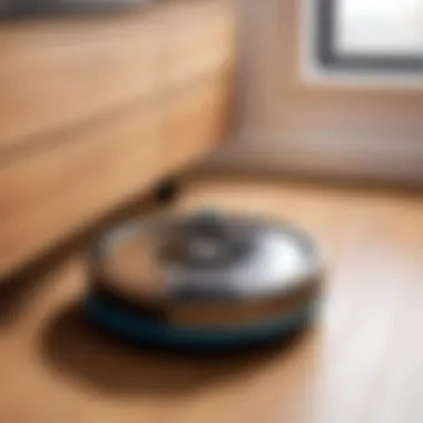 Maintenance tips for robot vacuums