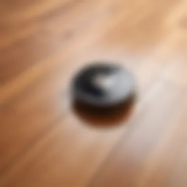 Robot vacuum navigating hardwood floors