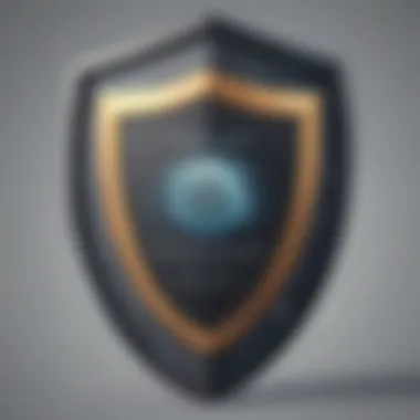 Safeguarding Sensitive Information with Privacy Guardian Shield Privacy Guardian Shield