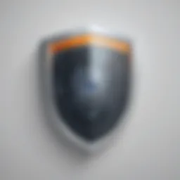 Privacy Protection Shield
