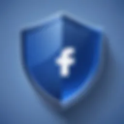 Privacy Shield Icon on Facebook