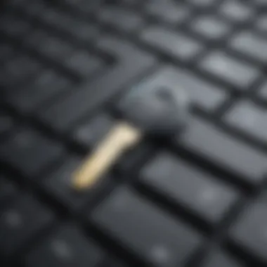 Digital key symbolizing office product key retrieval