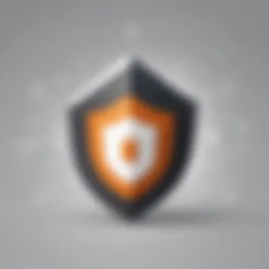 Security Shield Icon