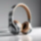 Sleek Minimalist Home Office Headphones