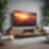 Sleek Outdoor 75-inch TV