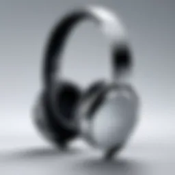 Elegant design of Sony over-ear earbuds showcasing premium materials.