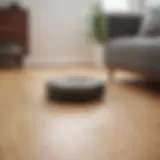 Sophisticated Roomba Model in Modern Home Setting