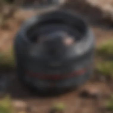Canon EF 35 mm Lens Landscapes Capturing stunning landscapes with Canon lens