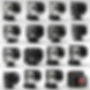 Various GoPro Camera Models GoPro camera models showcased