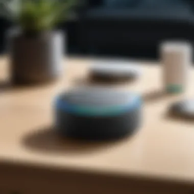 Exploring User Scenarios for Echo Dot User scenarios with Echo Dot