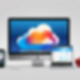 Understanding Apple iCloud Plans for Families Introduction